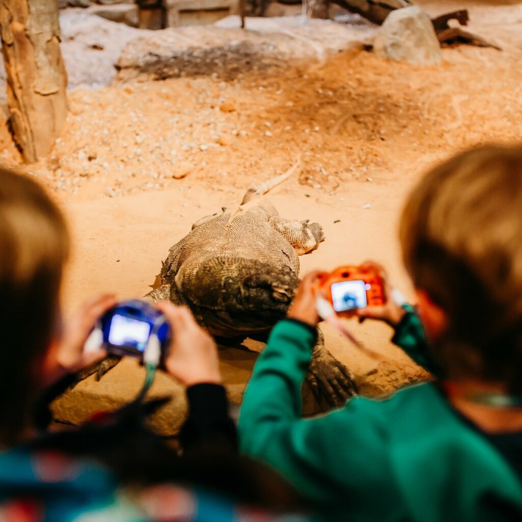 Sand Springs Education Foundation - Pre-K Students photograph a turtle